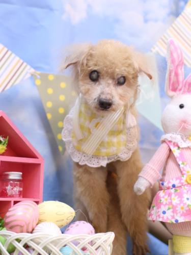 20240323モカくん